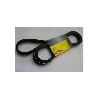 Courroie Alternateur